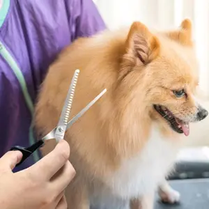 Gunting cukur bulu/rambut kucing anjing grooming