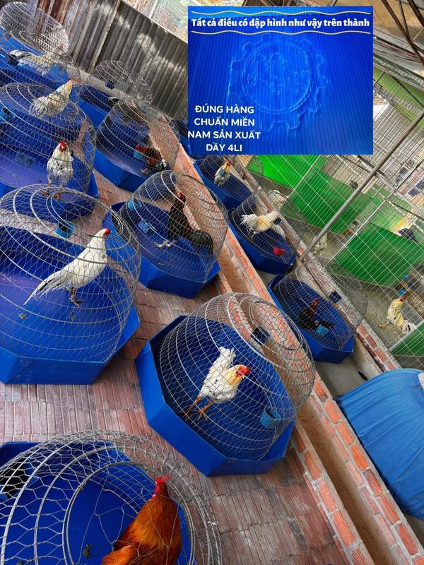 Khay tròn , khay vuong 1m, 80V,60V, khay nhựa chuồng gà, khay nhựa lót lòng gà, khay nhựa đung phân gà ,khay nhựa cho gà,khay vuông, khay tròn úp bội, khay lót bội , khay lót lồng