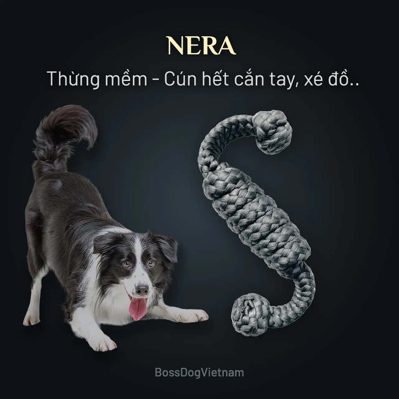 Dây thừng mềm Nera - Đồ chơi cho chó, huấn luyện cún con | BossDog