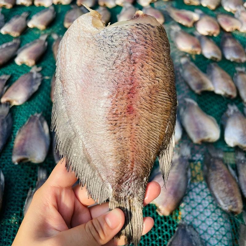 [6-7 CON] Khô Cá Sặc Bổi Loại Lớn