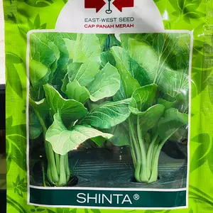 Benih Sawi Bakso Unggul SHINTA 25Gr