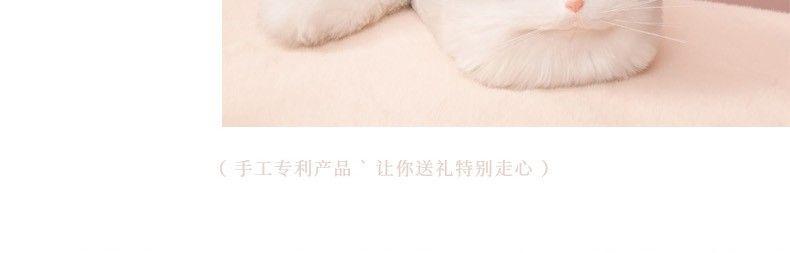 Product Introduction of This Year's Popular Bag Small Bag Niche 2022 Super Hot All-Match Western Style Mobile Phone Bag New Internet Celebrity Chain Messenger Bag 14