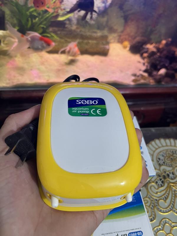 Máy Sục Khí Oxy 2 VÒI SB 9903A - Sobo 9905A Giảm Tiếng ỒN | Tặng kèm phụ kiện 2M dây sủi +1 viên đá sủi tiện lợi | Dùng Cho Hồ Cá Bể Cá Cảnh Nhỏ Gọn Tiện Lợi