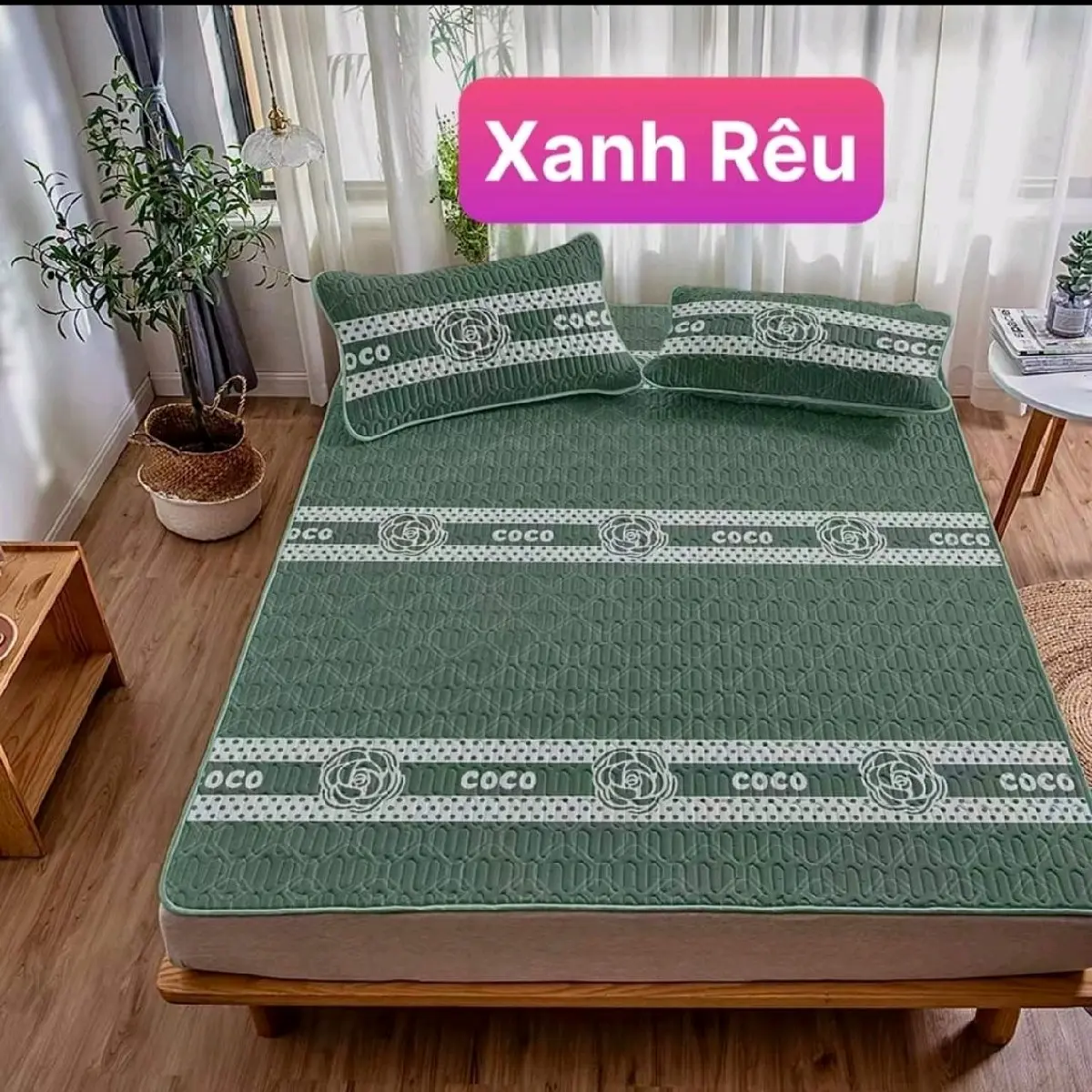 Chiếu điều hoà cao su non tencel latex CoCo