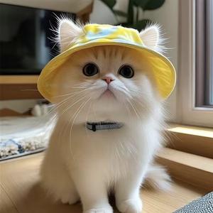 Topi Kucing dengan Telinga Terdedah, Sesuai untuk British Shorthair dan Kucing Teduh Perak, Topi Perlindungan Matahari Musim Panas, Topi Matahari untuk Anjing Kecil, Topi Nelayan Luaran