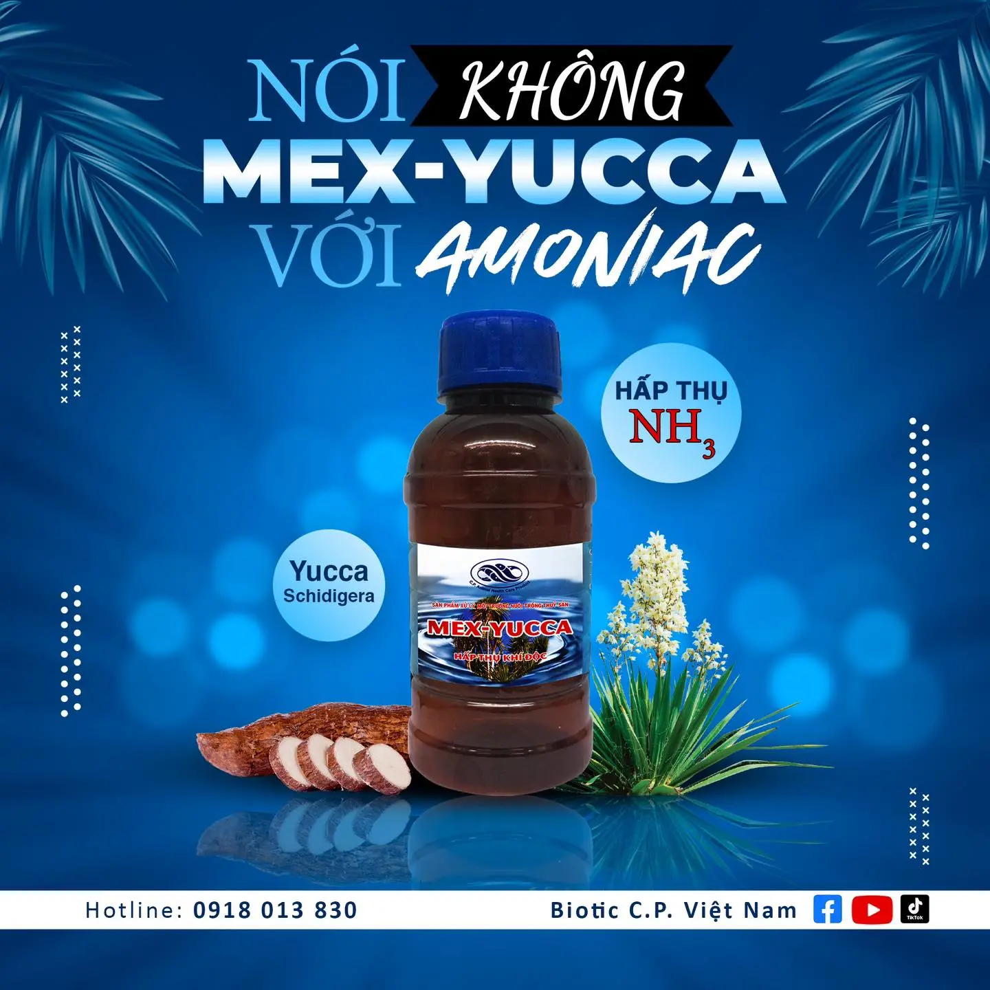 MEX-YUCCA là giải pháp hoàn hảo để loại bỏ amoniac (NH₃) trong nước, giúp môi trường sống cho cá và các sinh vật thủy sinh trở nên an toàn hơn.