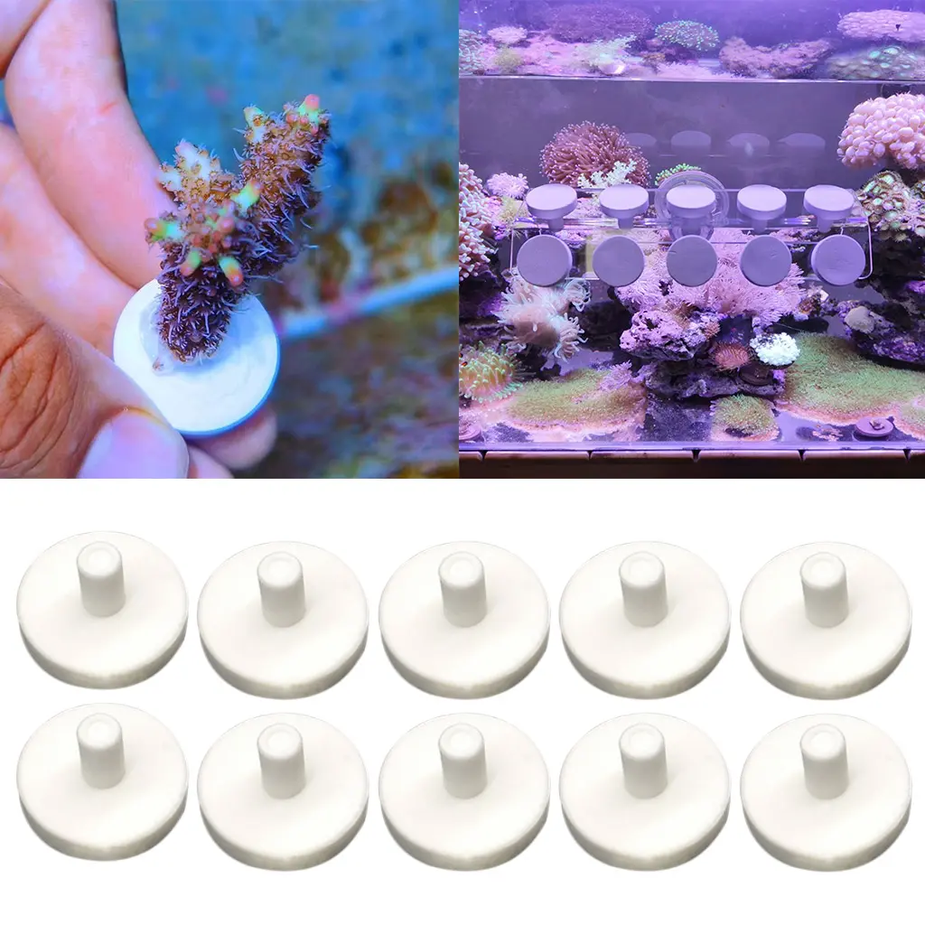 10pcs Coral Frag Disks Ceramic Saltwater Aquarium Coral Rack Support Bracket