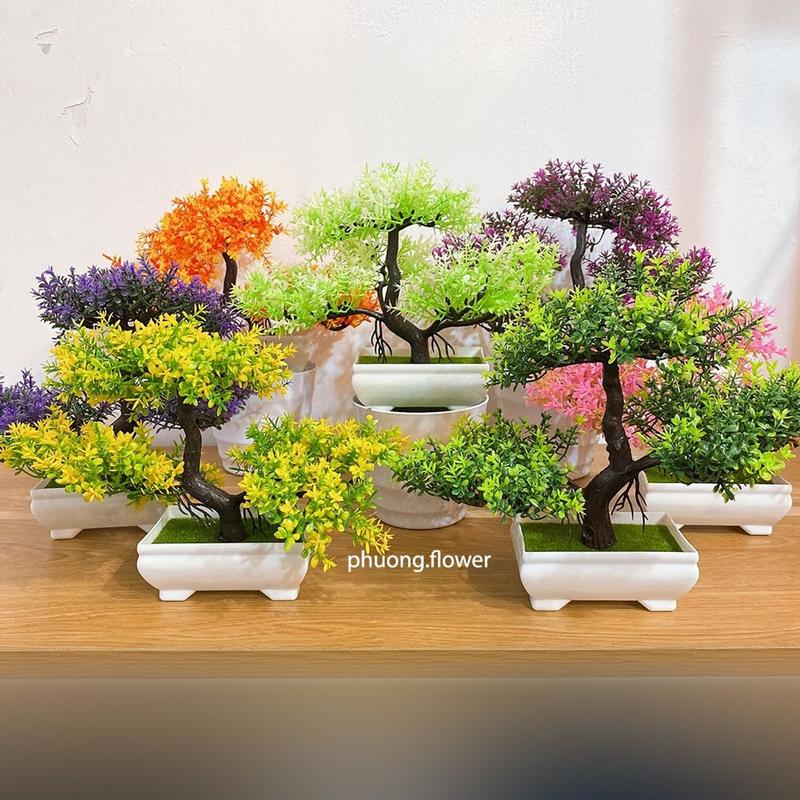 Chậu cây thông bonsai nhựa size nhỏ kèm chậu trang trí nội thất để bàn kệ sách tivi tiện dụng