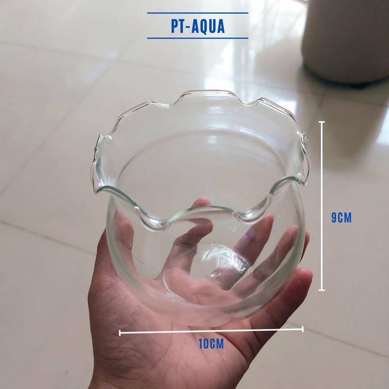  Chậu Thủy Tinh Bể Cá Mini 10cm thích hợp Nuôi Cá Trồng Cây Thủy Sinh và Trang Trí Phòng Khách Bàn Làm Việc và Bàn Học 