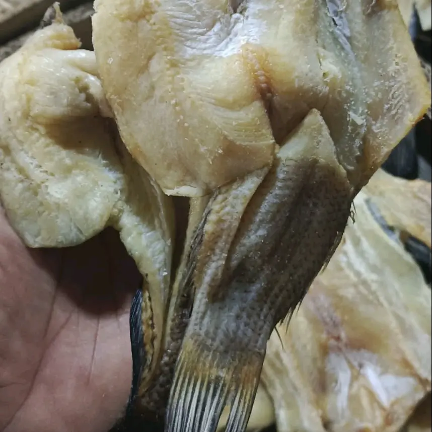 IKAN ASIN GABUS KERING TERMURAH