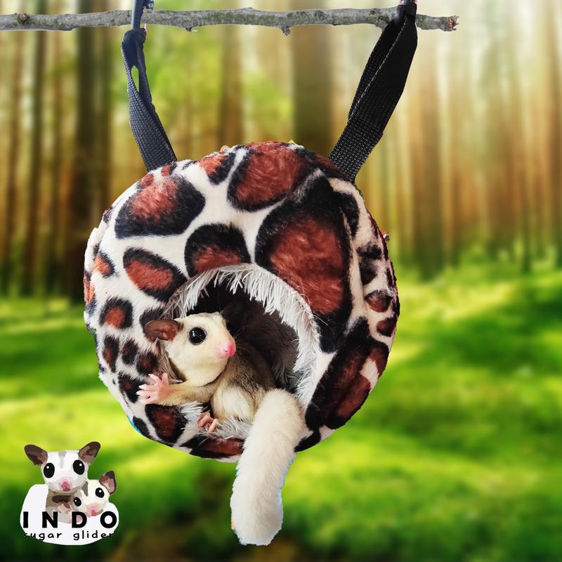 Sugar Glider Pouch Big Animal 5