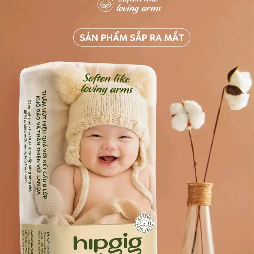 Combo 100 bỉm quần Hipgig Bao bì L XL XXL XXXL