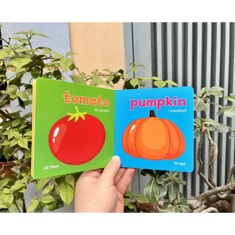 Bộ Sách 8 Cuốn Bìa cứng thư viện hình ảnh đầu tiên cho bé Baby First Picture Book Song Ngữ Việt Anh 1