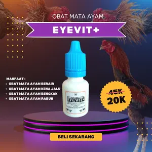 EYEVIT+ Obat tetes mata ayam luka kena jalu infeksi iritasi rabun