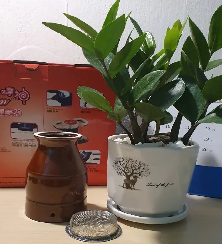 Cốc Xông Ngải Cứu DOCTOR Dùng SPA, Massage Máy Massage, Giác hơi, Bài trừ Độc tố, Chấn Đả thông kinh lạc - Cốc chườm nóng phù dương