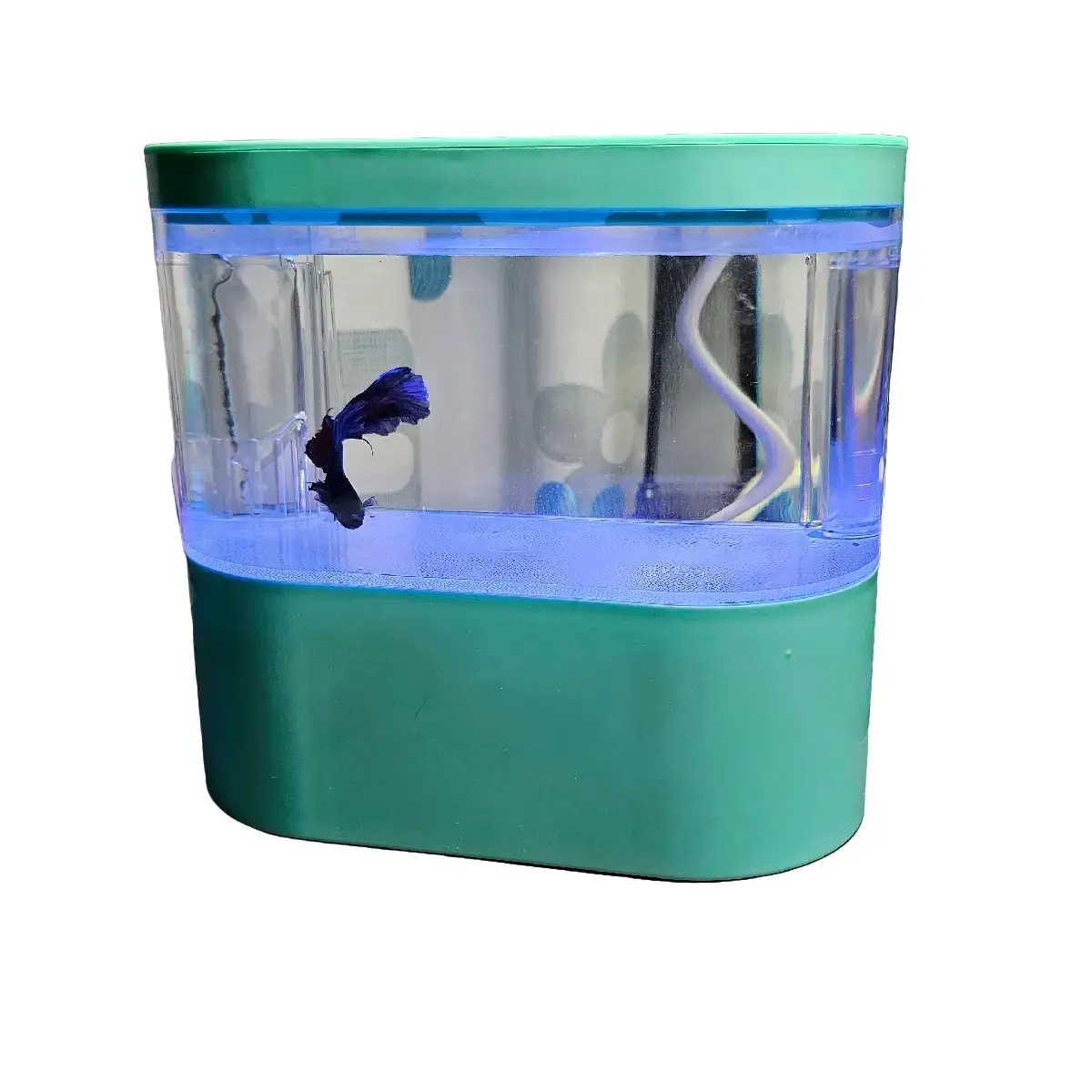 Bể cá Mini tích hợp lọc để văn phòng - Model mới nhất bể  acrylic betta Rẻ bể cácảnh
