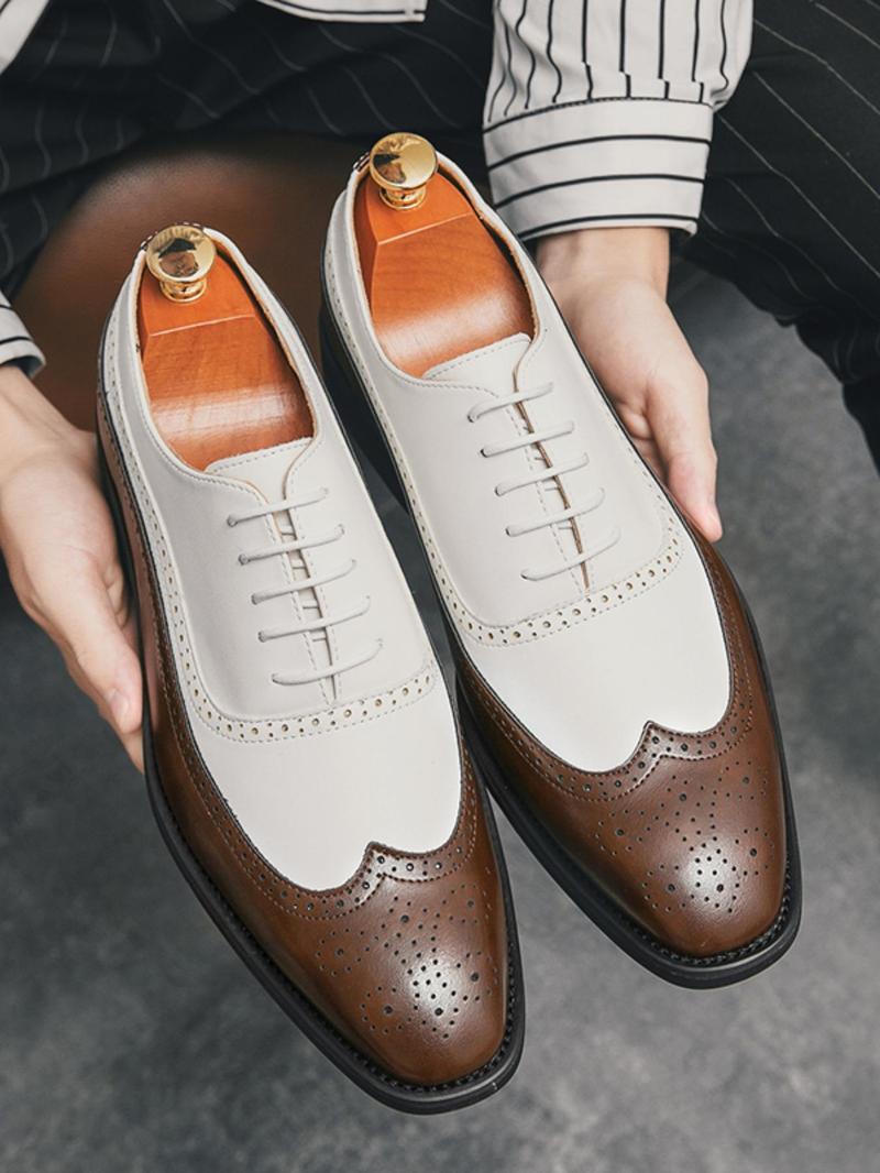 Product Introduction of Men's Fashionable Colorblock Lace Up Dress Shoes, Casual Comfortable Breathable Business Style Shoes for Work Office, Fashion Shoes for Party, Daily Clothing Decor 7