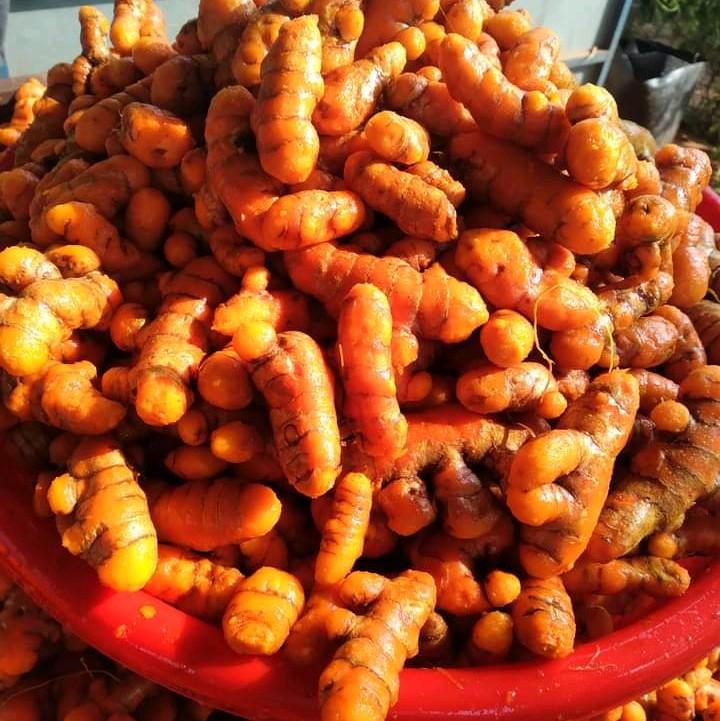 5kg Bột Nghệ Nguyên Chất Trang Phạm 1
