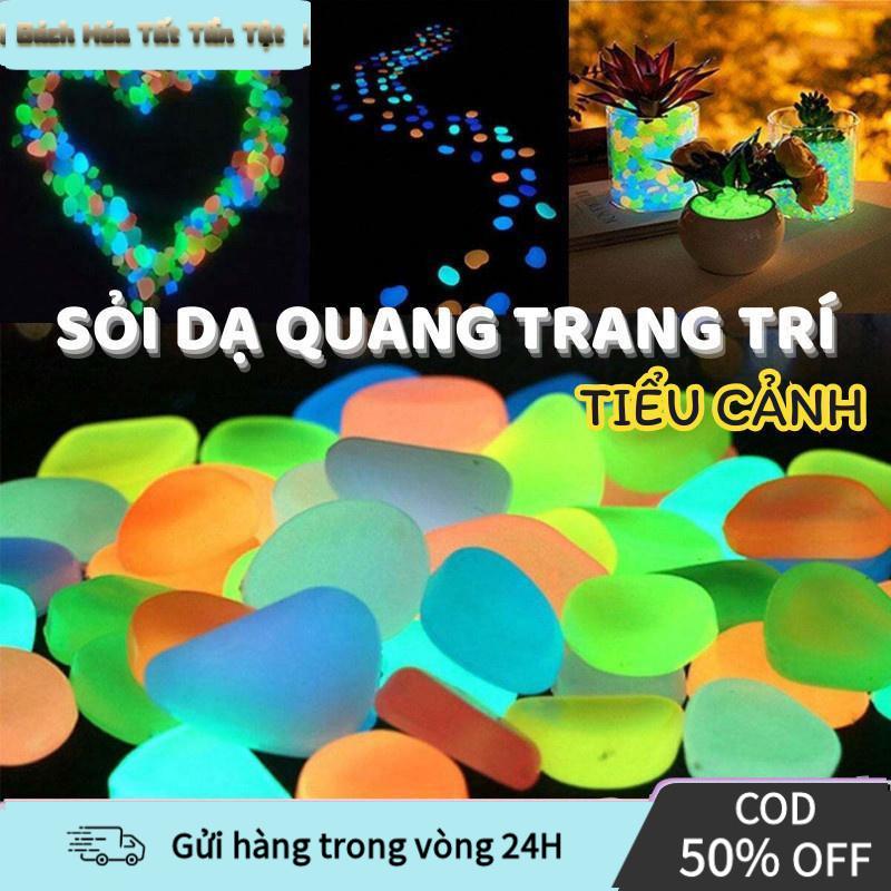 [CODSỏi Dạ Quang Trang Trí Bể Cá, Hồ Rùa, Chậu Cây – Màu Sắc Ngẫu Nhiên, An…
