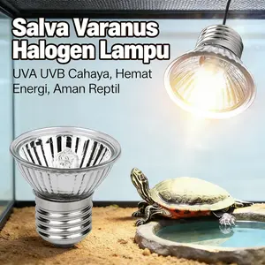 Terbaik untuk Ikan Kadal & Buaya: Lampu Kepiting Berjemur UVB & Pemanas, Suhu & Kecerahan Dapat Disesuaikan – Model [Model Name], Panjang [Panjang cm], Lebar [Lebar cm]