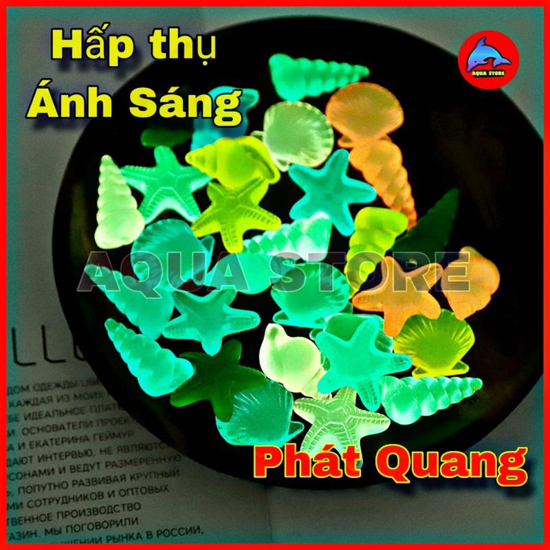  10 Vỏ sò hấp thụ Ánh Sáng Phát Quang trang trí bể cá cảnh  thủy sinh tiểu cảnh 