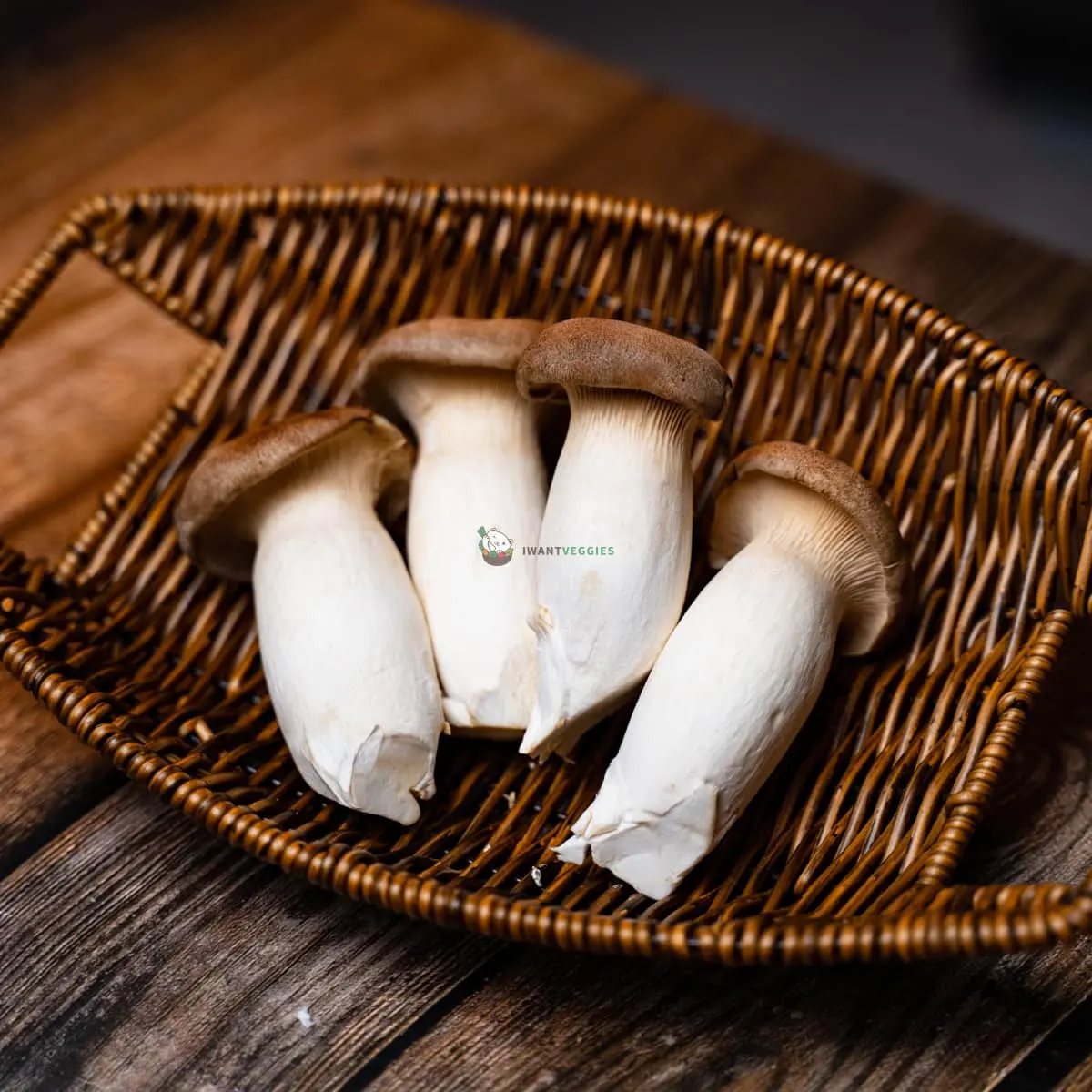 King Oyster Mushroom (PKT)