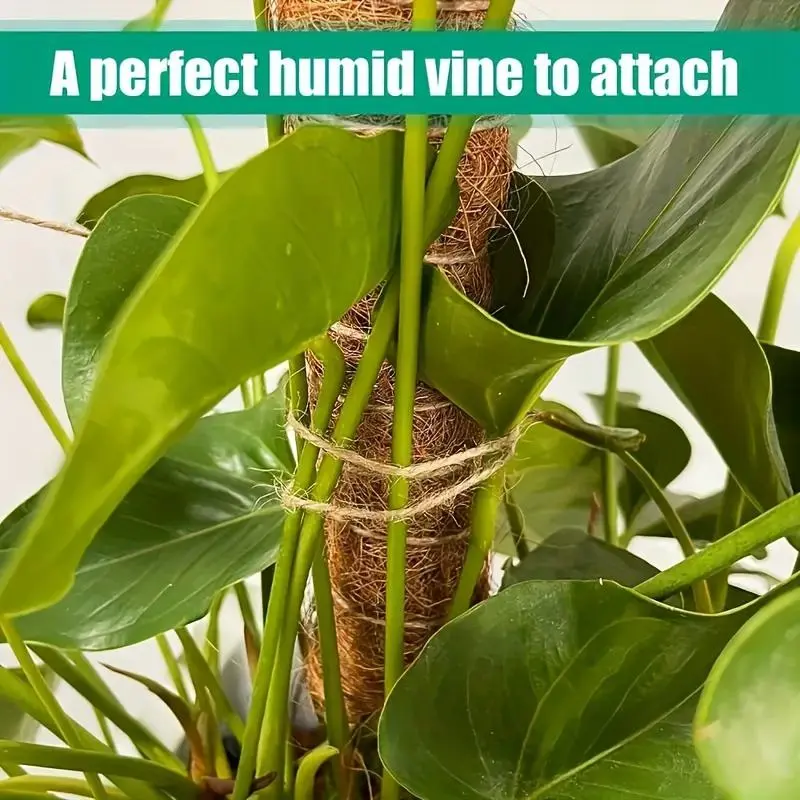 Moss Pole, 2 Counts Flexible Durable  Climbing Plant Growth Support, Beautiful Coconut Rod for Indoor Balcony Garden Pot Plant 3