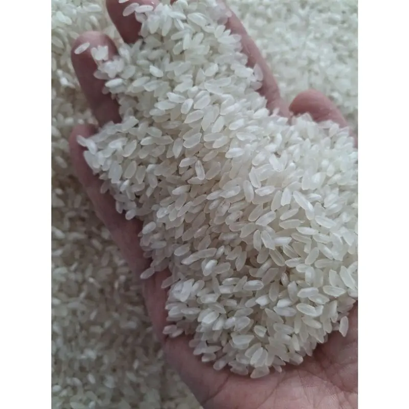 Gạo Nở Khô Xốp Hàm Châu - Gạo 504 - 10kg 5