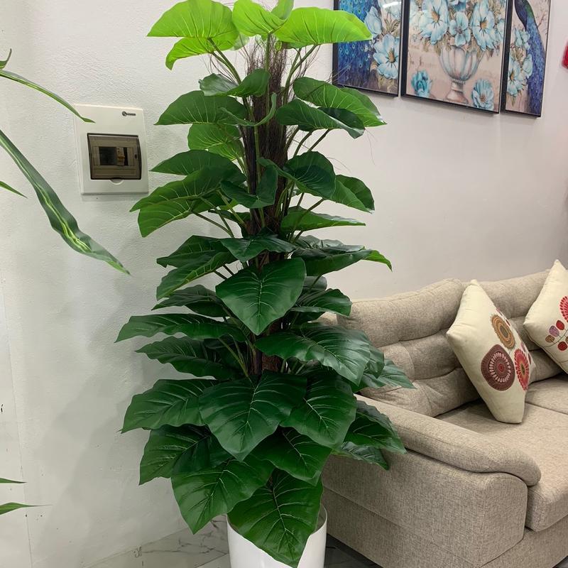 Cây trầu bà leo cột 1m6 giả, cây giả trang trí, decor