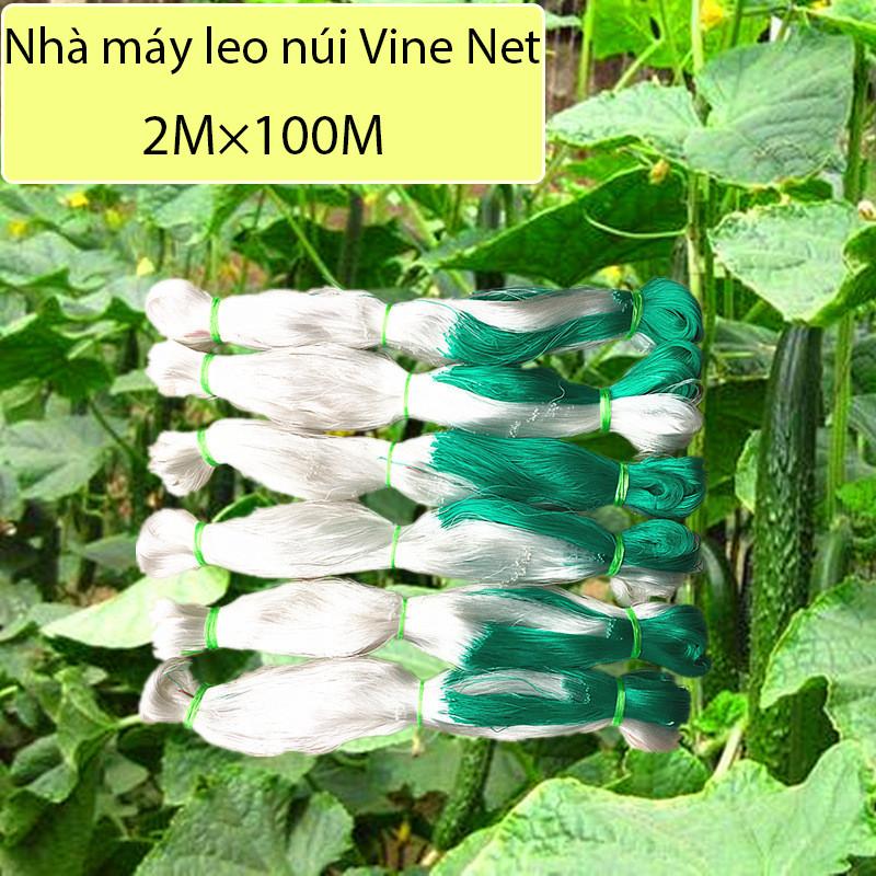 【2M X 100M Giàn Lưới Hỗ Trợ Trồng Cây Dây Leo,Lưới Làm Giàn Cây Leo: Dưa Chuột Khổ Qua Mướp Bầu Bí