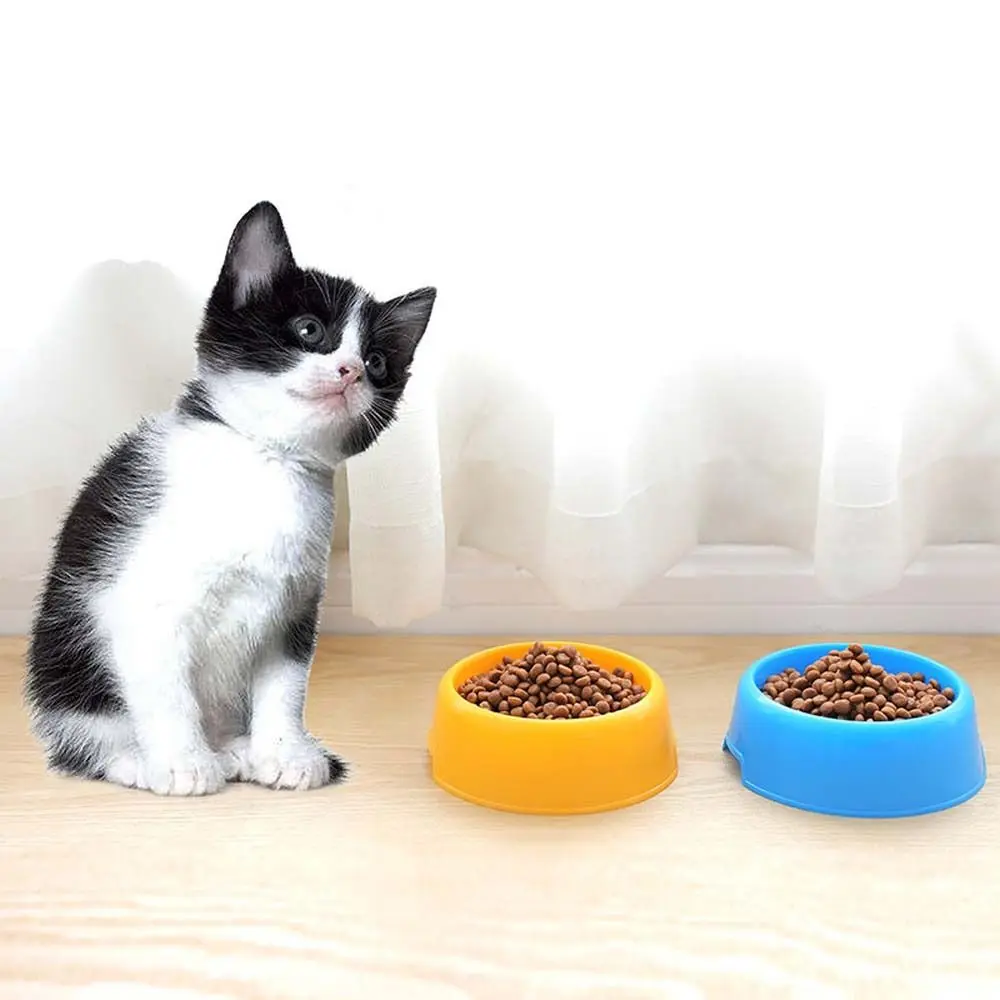 Plastic Candy Color Puppy Feeder Dish Safety For Dog Cat Standing Pet Supplies Pet Feeder Bowl Water Feeding Container Cat Food Bowl