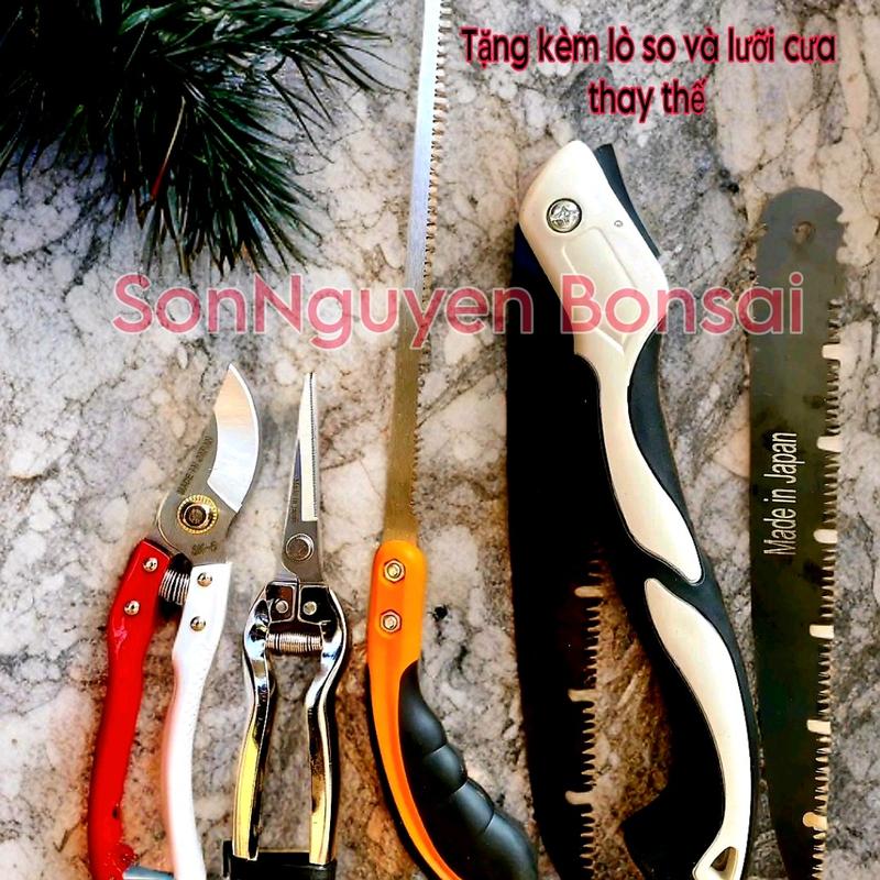  Bộ 5 món dụng cụ làm vườn cắt tỉa cây cảnh 