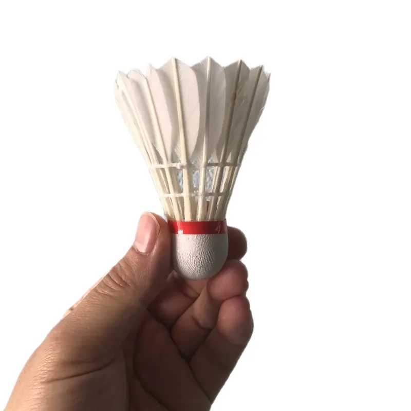 Cầu lông Thành công [Hộp 10 quả] Cầu lông học sinh Sport Vợt Cầu Lông Cán Vợt Đồng Nam ong  caulong 3