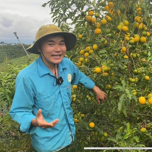 Nông nghiệp hữu cơ Anki Farm