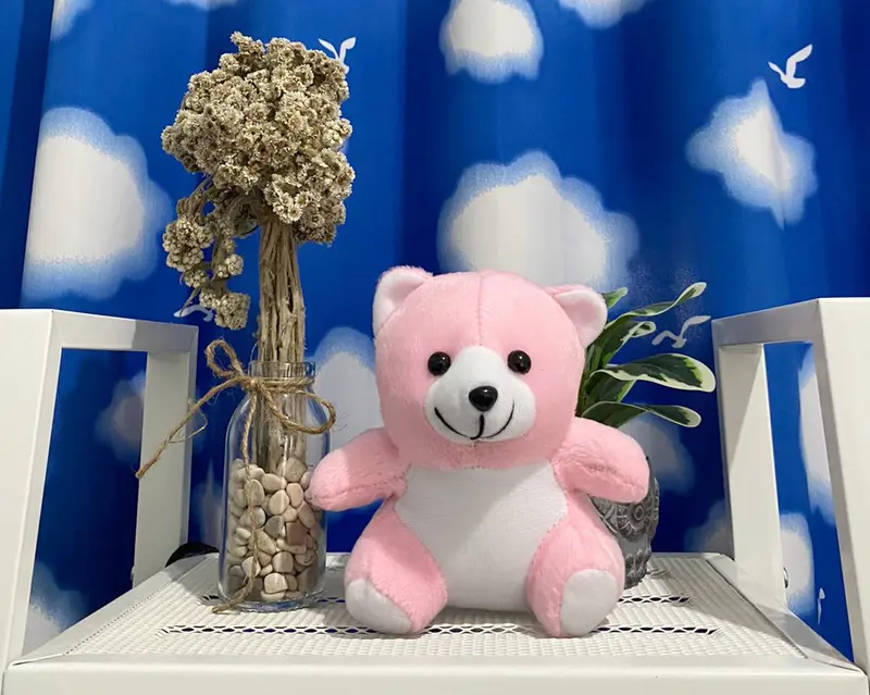 Boneka Bear Mini Boneka Teddy Bear Buket 15-16 Cm Dolls Kado Toys 4