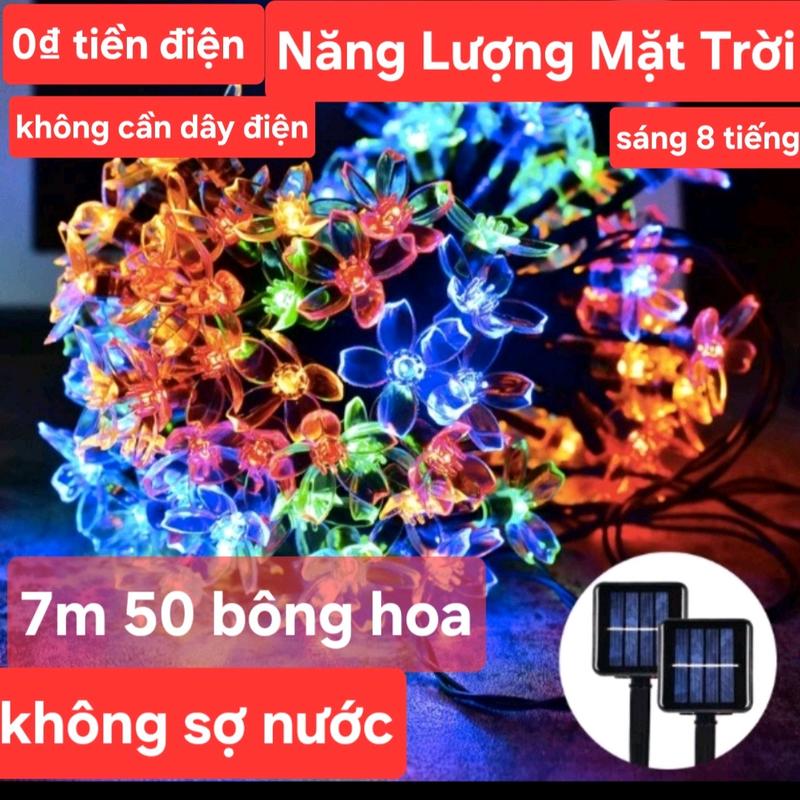 Dây đèn led trang trí năng lượng mặt trời 7m hoa đào 7m 50 bông .sáng 6h đến 8h . tự động sáng