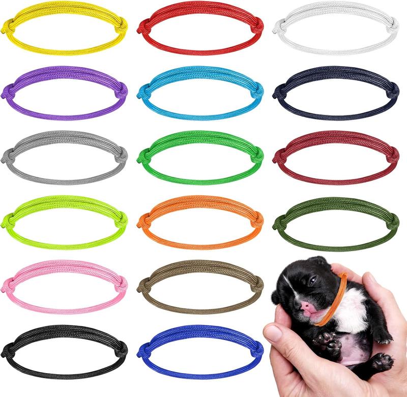 Kitten id bands hotsell