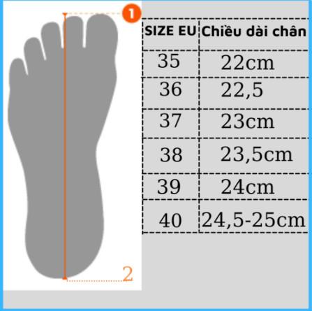 Product Introduction of Combo giày +2 đôi tất nữ êm chân thoáng khí size 36 đến 41 0