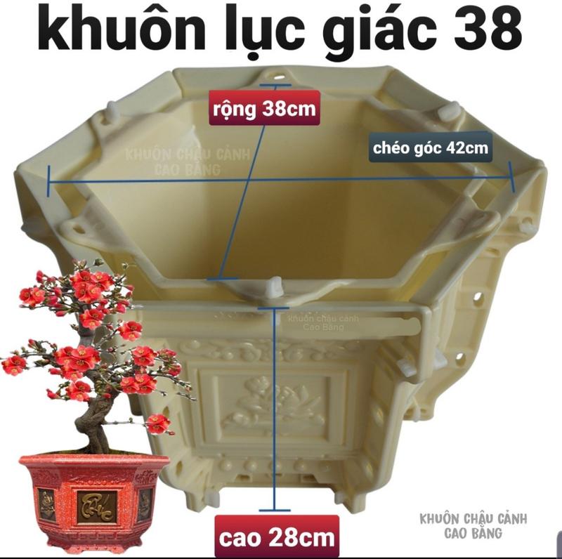  Khuôn đúc chậu cảnh lục giác 38 - Khuôn chậu ABS cao cấp 