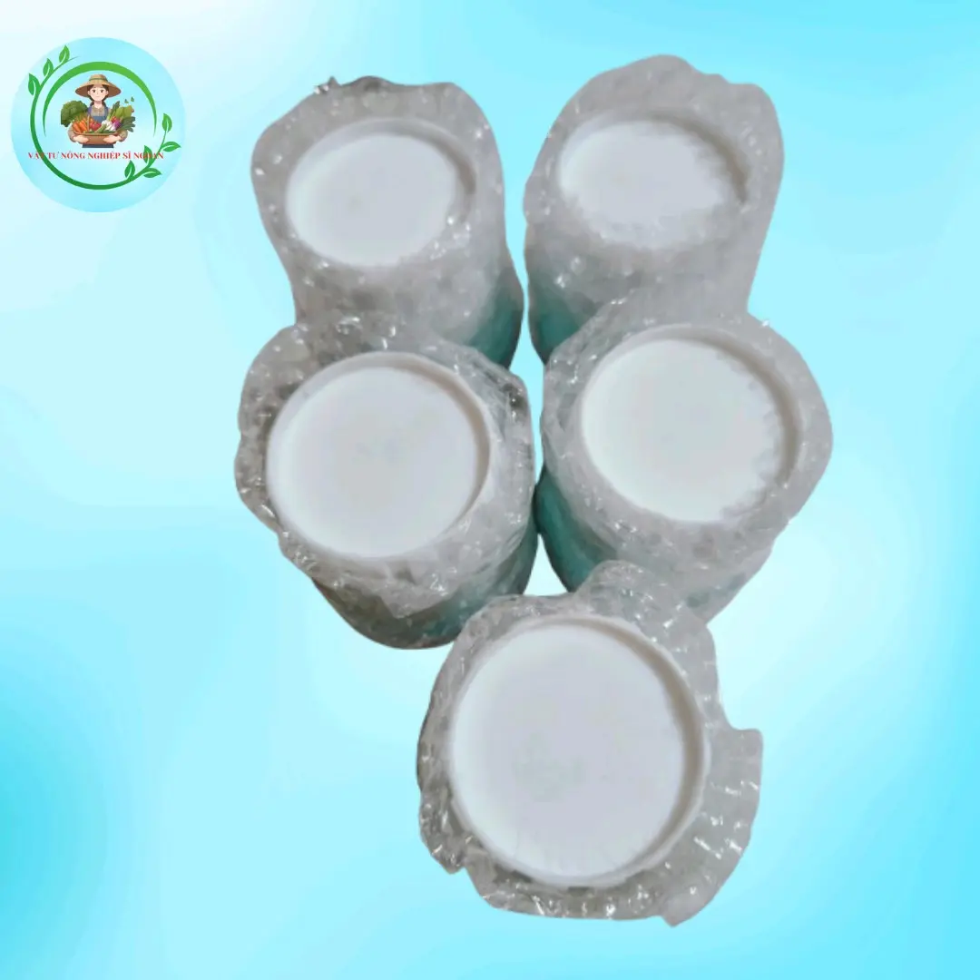 COMBO 5 CHAI Regent 250 ml chai nắp trắng