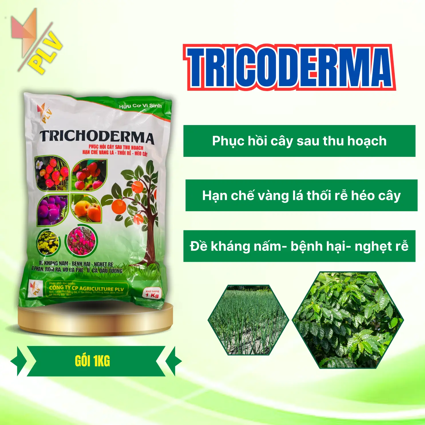Phân Bón Trichoderma (1kg) Agriculture PLV - Phục Hồi Cây Sau Thu Hoạch, Hạn Chế Vàng Lá, Đề Kháng Nấm