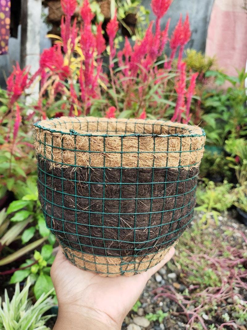 Product Introduction of 3pcs Pot Gantung Cepon Sabut Kelapa 17cm Media Tanaman Bahan Sabut Kelapa Alami 12