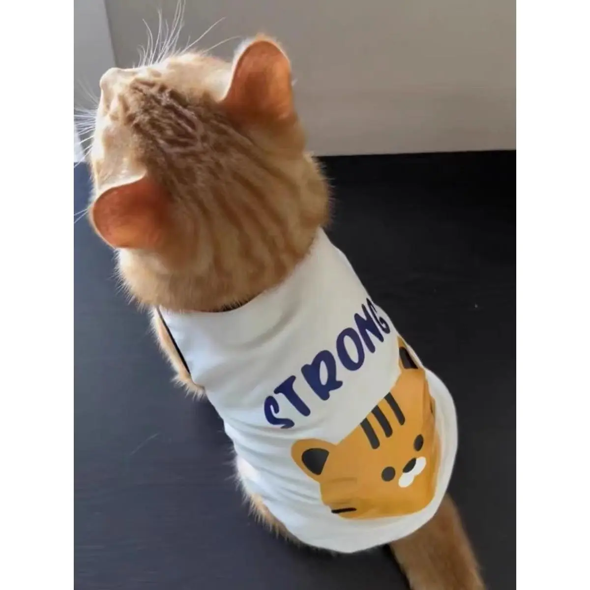 [30 Days Hot Sale 1346 Pieces] Cat Anti-Shedding Clothes Summer Breathable British Shorthair Ragdoll Silver Shaded Blue Cat Pet Summer Thin Vest