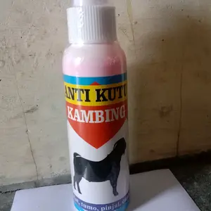 Anti Kutu Kambing pembasmi kutu kambing efektif dan efisien