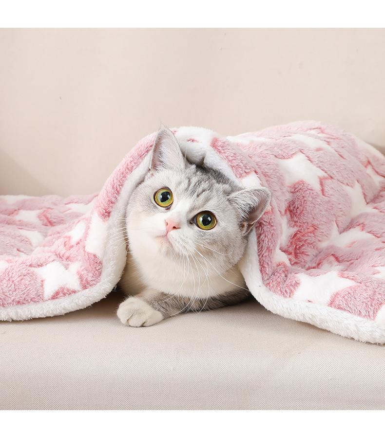 Product Introduction of Thickened Autumn and Winter Warm Floor Mat, Cat for Common Dogs Blanket Mat 14