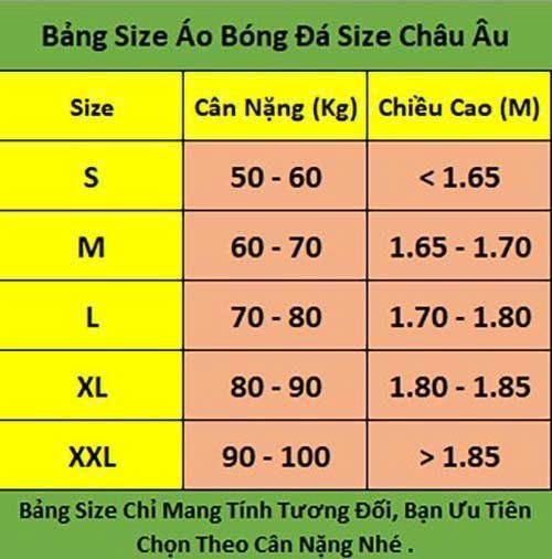Product Introduction of Bộ Quần Áo Thể Thao Polo DAS 2025 Quần Có Túi Và Có Logo NTT - Vải Gai Thái Cao Cấp 0
