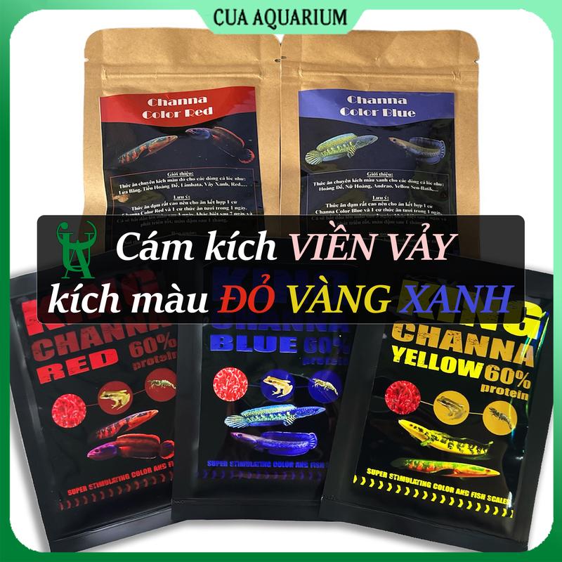 Thức ăn cám kích màu cho cá lóc Vẩy Rồng Nữ Hoàng Vây Xanh,...