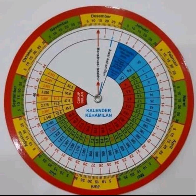 Kalkulator Kehamilan Putar Online: Hitung Usia & Tanggal Lahir Bayi, FAQ, Manfaat dan Tips