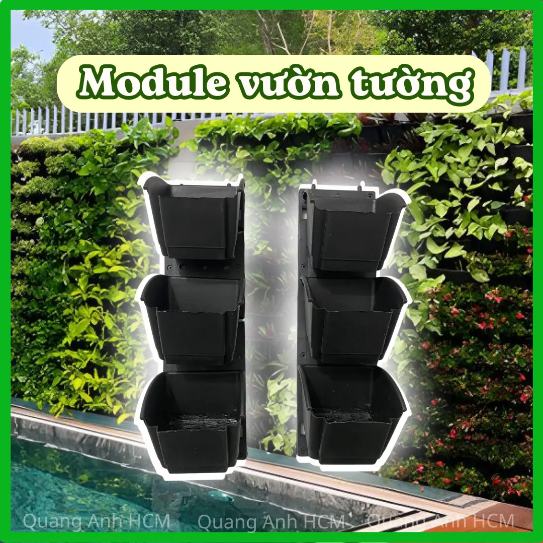 Bộ chậu treo tường làm vườn tường đứng, module vườn tường đứng Quang Anh ,chậu trồng cây trên tường