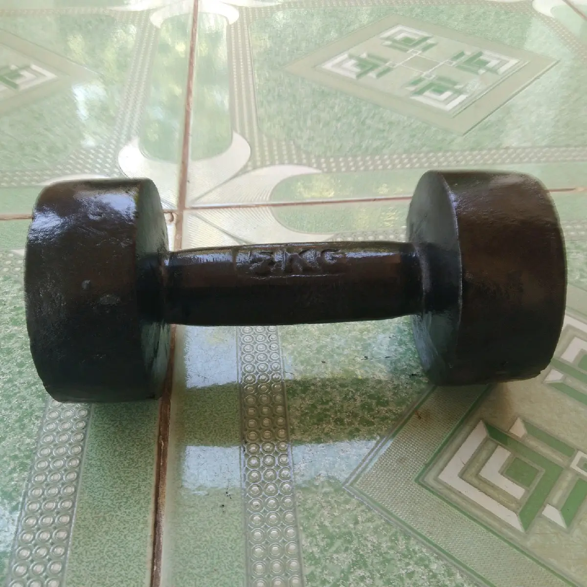 Viên tạ tay 5kg nguyên khối gang đúc tập gym